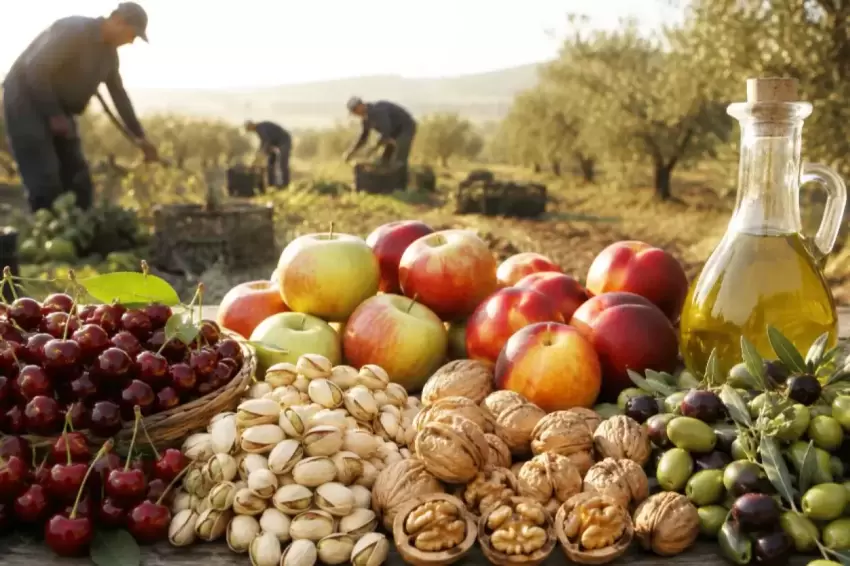 2026da zeytin ve meyve üretiminde büyük artış bekleniyor