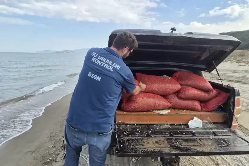 Mudanya Eğercede 2,7 ton kum şırlanı denize iade edildi