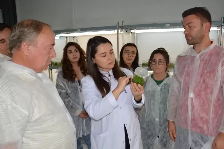 BAÇEMin Bitki Doku Kültürü Kursuna yoğun ilgi