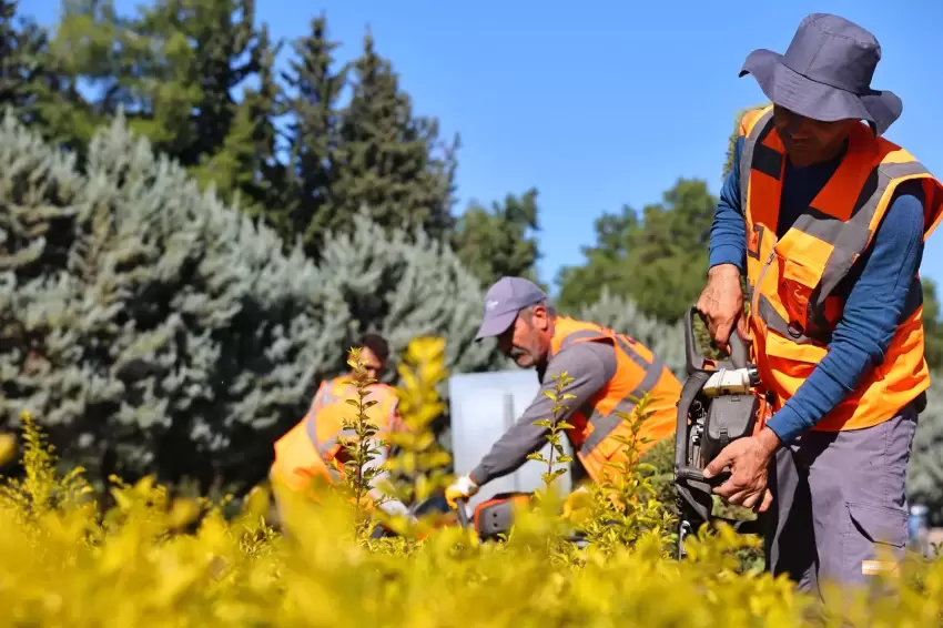 Antalya COP31e hazırlanıyor