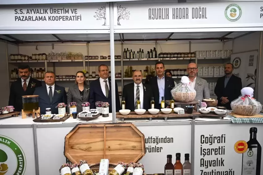 Uluslararası Ayvalık Zeytin Hasat ve Turizm Festivali başladı