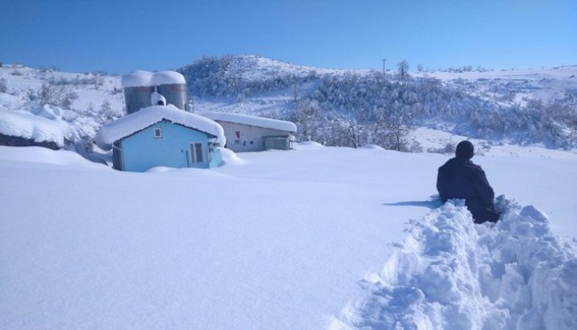 Üretici devletten yardım bekliyor