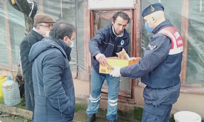 Yaralı kediye jandarma şevkati