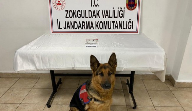 Narkotik Köpeği Vera'nın zafer pozu