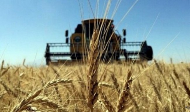 Tarım ürünleri üretici fiyat endeksi arttı