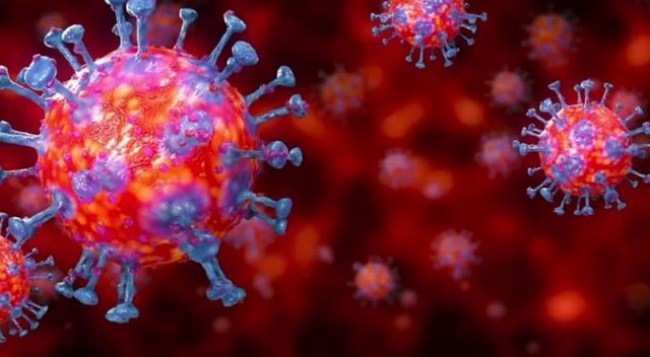 Ereğli’de durum korkunç !