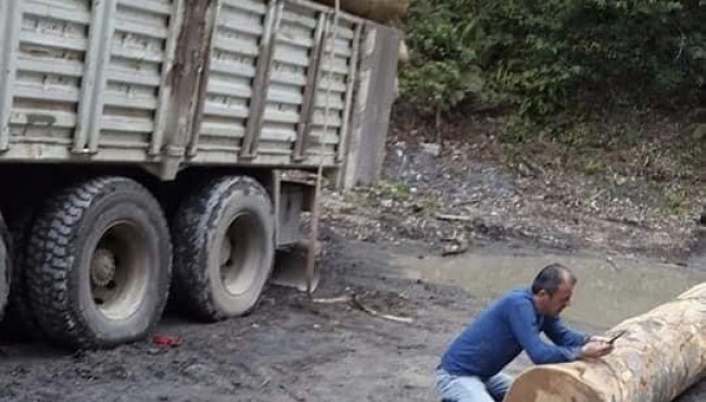 Üzerine tomruk düşen genç hayatını kaybetti