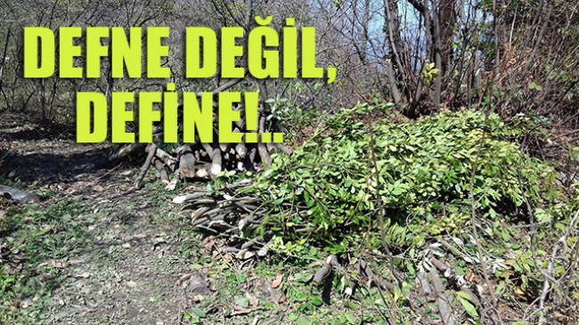 Afgan İşçiler Kırmacı'yı talan ediyor