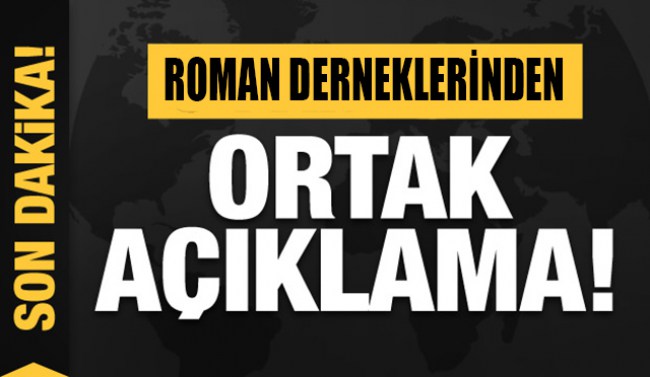 Romanlara, 'çingene' diyen gazeteci Tığ'a sert uyarı