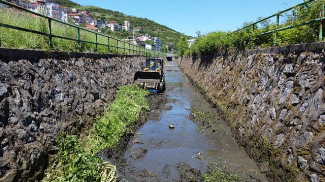 Kdz. Ereğli’de dereler temizleniyor, ilaçlanıyor…