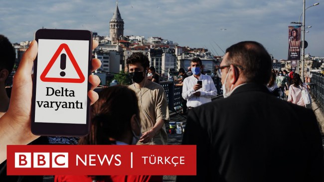 Türkiye'de 3 il'de görüldü.. Biri de Zonguldak..