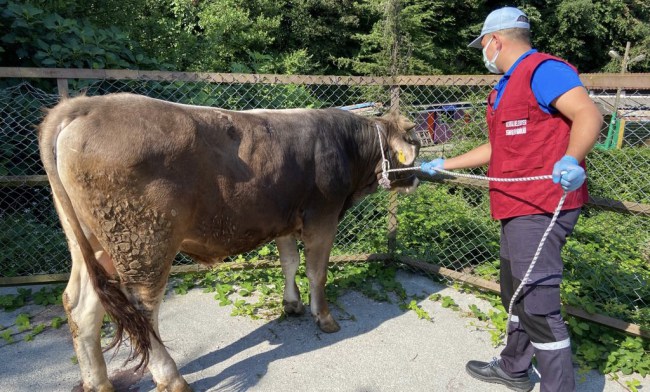 Kurban yakalama timi göreve hazır