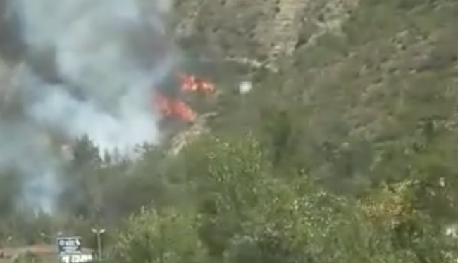 Karabük'te orman yangını