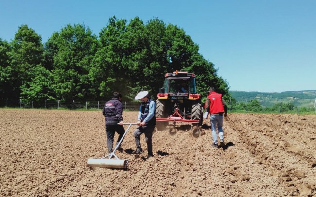 Kocaeli İzmit'te üretim bahçelerine bakım