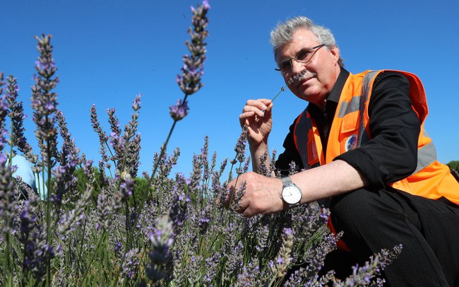 Sakarya'da yaz etkinlikleri başlıyor