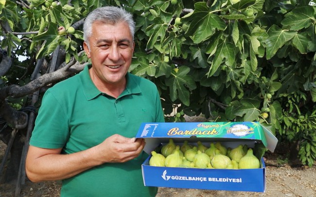 İzmir Güzelbahçe'de ‘Payamlı Bardacık Festivali' hazırlığı