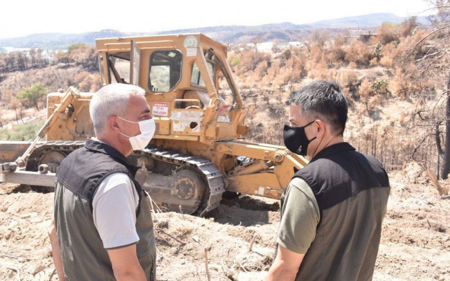 Bakan Pakdemirli: "Yanan alanlar üç yöntemle yeniden yeşillendirilecek"