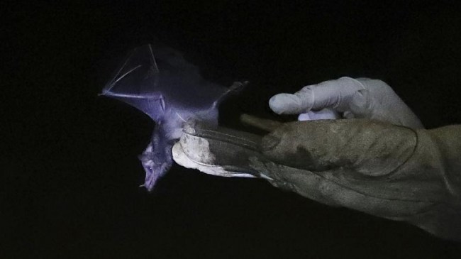 Koronavirüste flaş ‘ilk vaka' iddiası!