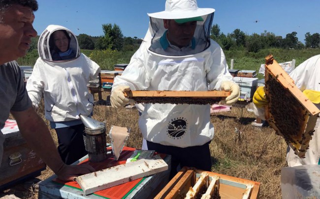 Sakarya'da ödüllü projenin katılımcıları sertifikalandı