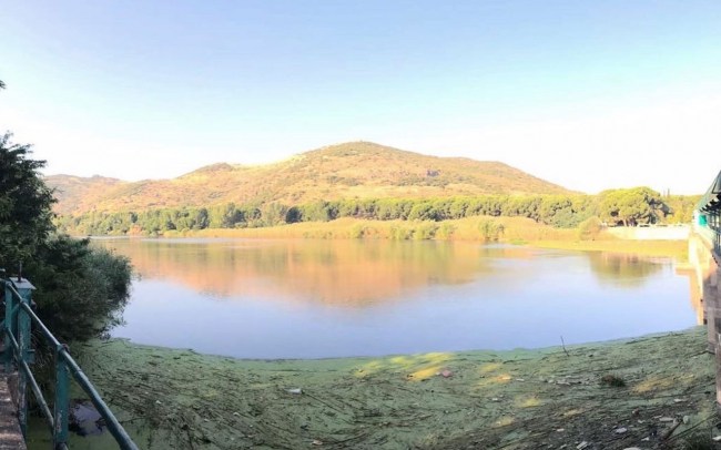 Gediz için İzmir Çiğli'de güç birliği