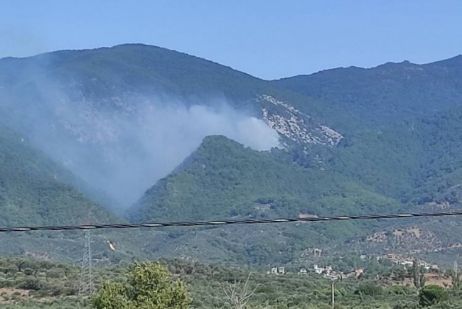 Kazdağları'ndaki orman yangını büyüyor