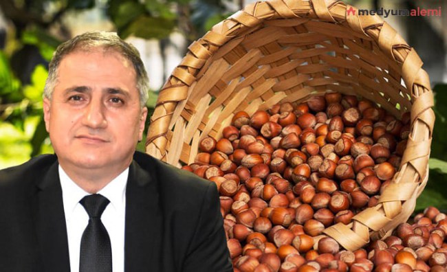 TMO, Kdz.Ereğli’de fındık alımlarına başlıyor