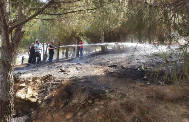 Manisa Gölmarmara'da orman yangını söndürüldü