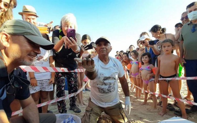 Aydın Didim'de yavru carettalar denizle buluştu