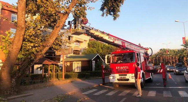 Ereğli Belediyesi, fırtınaya karşı teyakkuzda!