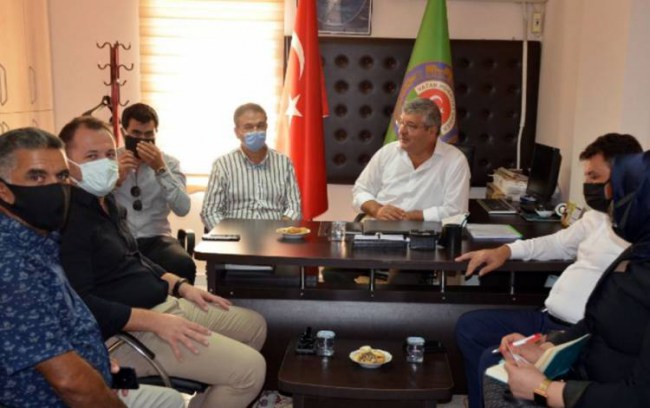 Aydın Milletvekili: "TARİŞ Didim'den zeytin alımı yapacak"