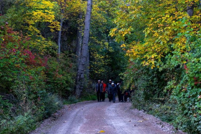 Memduh Büyükkılıç'tan sabah klasiği