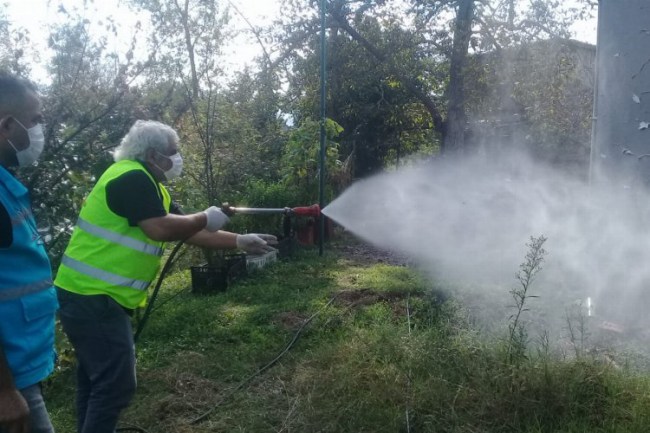 İzmit'te sivri sinek mücadelesi