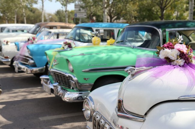 Kocaeli'de 'Roman'lara toplu nikah