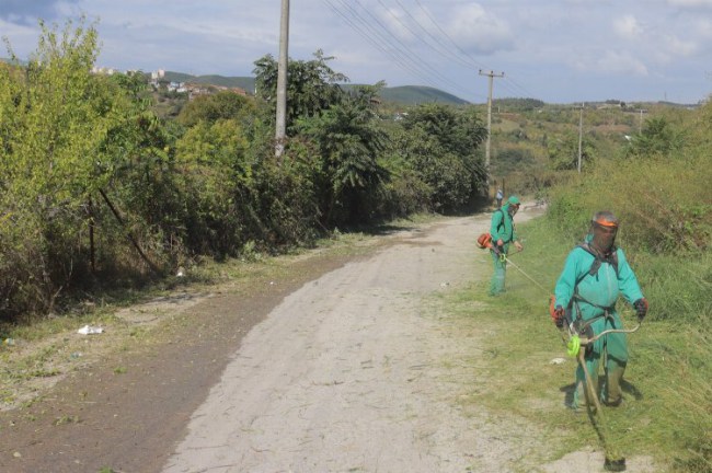 İzmit Belediye ekipleri çimleri biçiyor