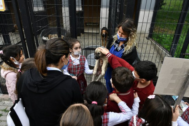 Bursa Osmangazi'de öğrenciler barınakları ziyaret etti