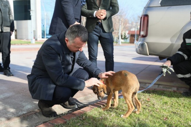 Başkan Büyükakın: " Kocaeli hayvan dostu bir şehirdir"
