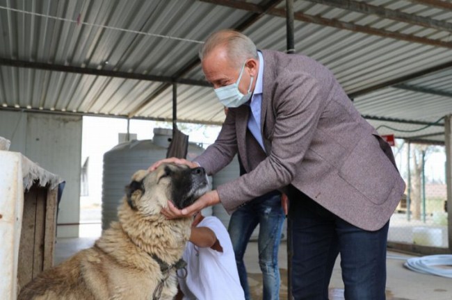 Aydın Didim'de Hayvan Barınağı ameliyathaneye kavuştu
