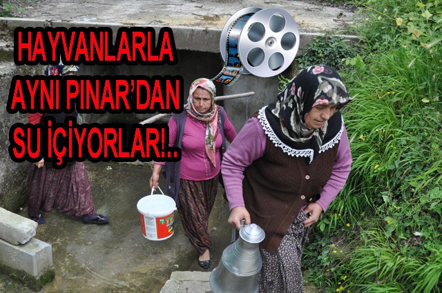 'Ucube'yi yerinde inceledi'