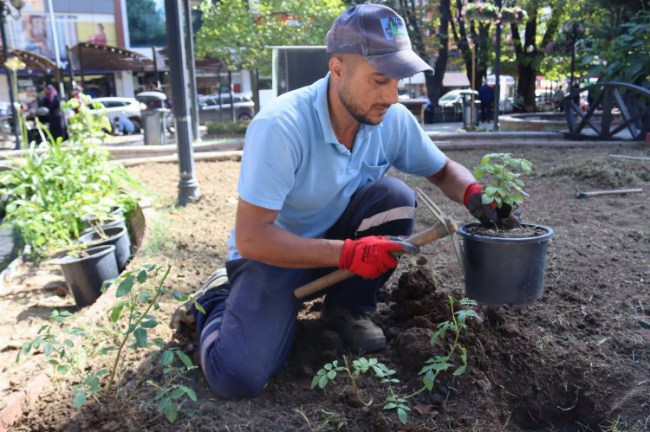 İzmit Fevziye Parkı çiçeklerle renkleniyor