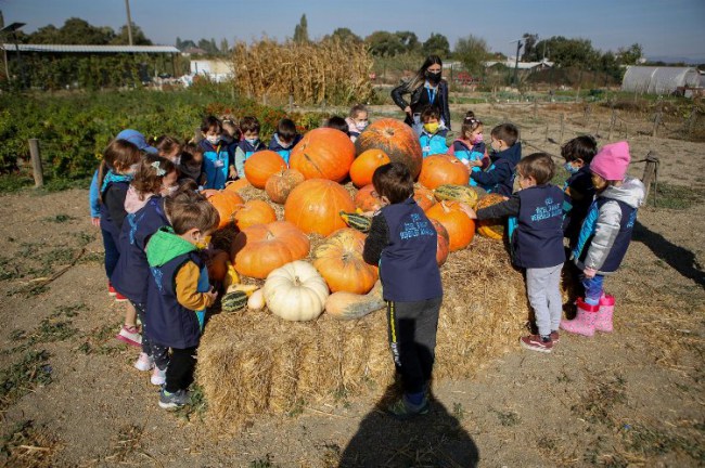 Bursa Nilüfer'de öğrenciler Kent Bostanları'nı ziyaret etti