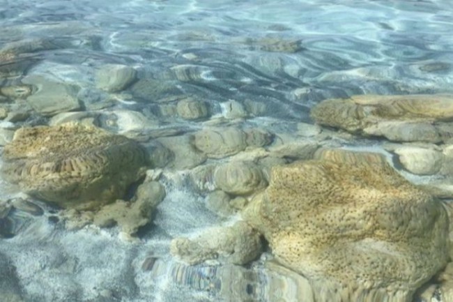 NASA'dan Salda Gölü paylaşımı