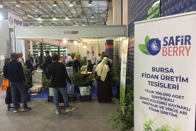 Bursa Tarım Fuarı'nda maviyemiş ilgisi