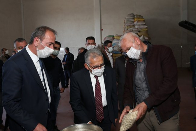 Kayseri Erciyes eteklerinde kabak çekirdeği hasadı