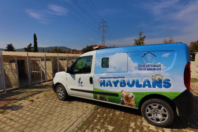 İzmir Güzelbahçe'de can dostları için "Haybulans"