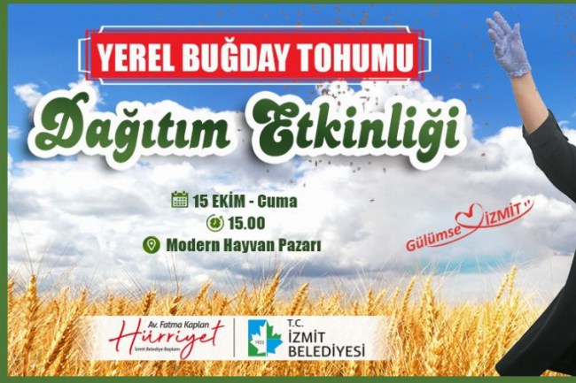 İzmit'te yerli buğday