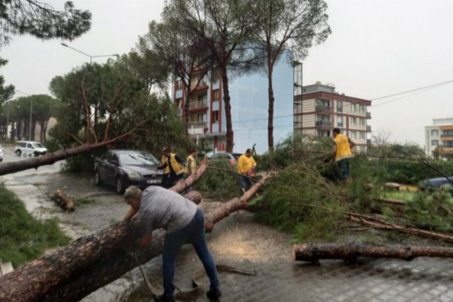 Aydın Büyükşehir Belediyesi Nazilli'de seferberlik başlattı