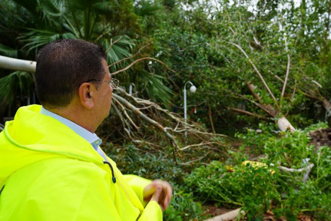 Muğla Milas'ta fırtına sonrası inceleme