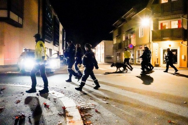 Norveç'te oklu saldırı