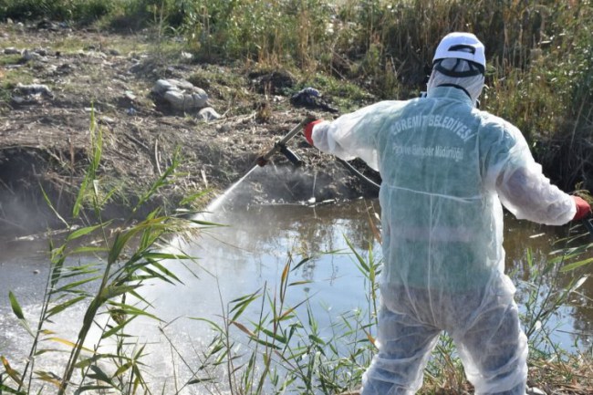Balıkesir Edremit'te sinek mücadelesi