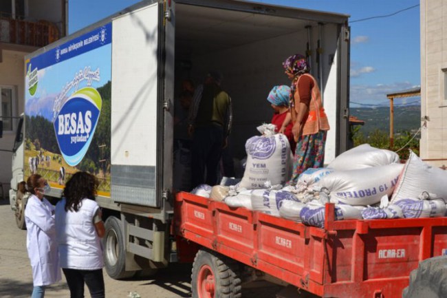 Bursa'da siyez buğdayından bereketli hasat